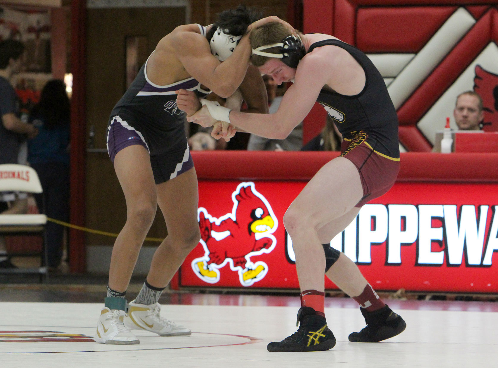 Division 1 wrestling regional at Chippewa Falls 2-9-19